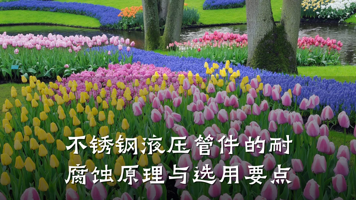 不锈钢液压管件的耐腐蚀原理与选用要点