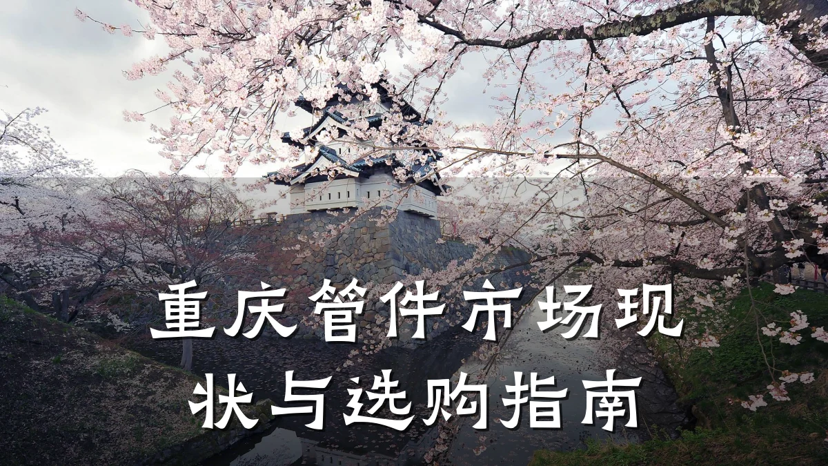 重庆管件市场现状与选购指南