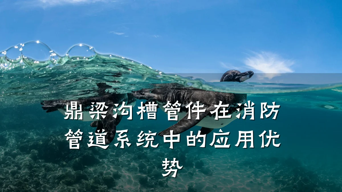 鼎梁沟槽管件在消防管道系统中的应用优势