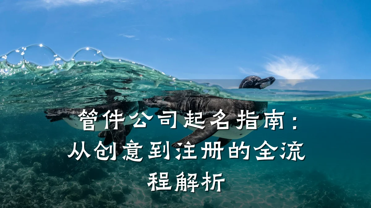 管件公司起名指南:从创意到注册的全流程解析