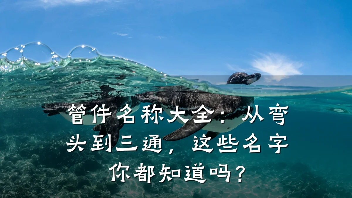 管件名称大全:从弯头到三通,这些名字你都知道吗?