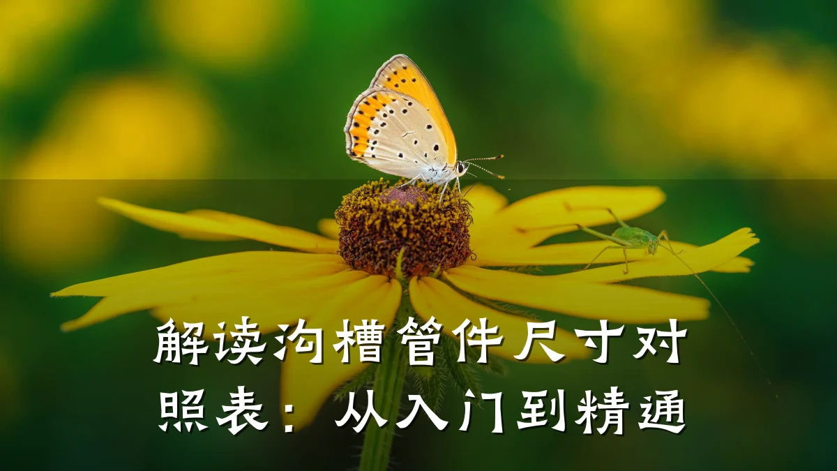 解读沟槽管件尺寸对照表:从入门到精通