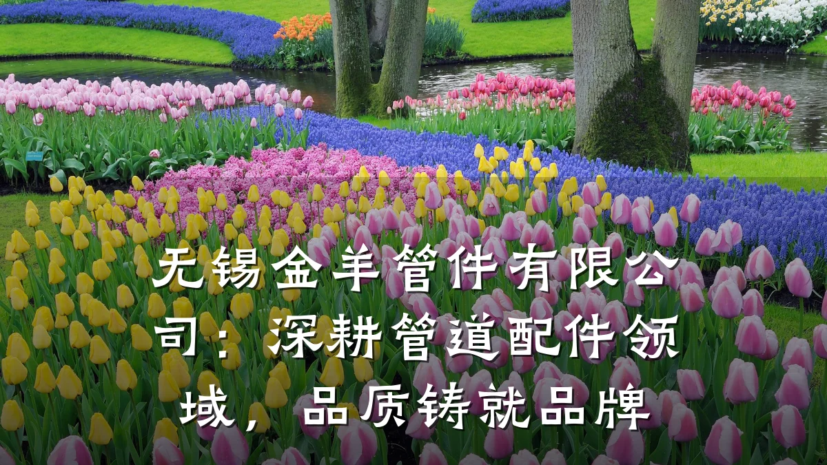 无锡金羊管件有限公司:深耕管道配件领域,品质铸就品牌