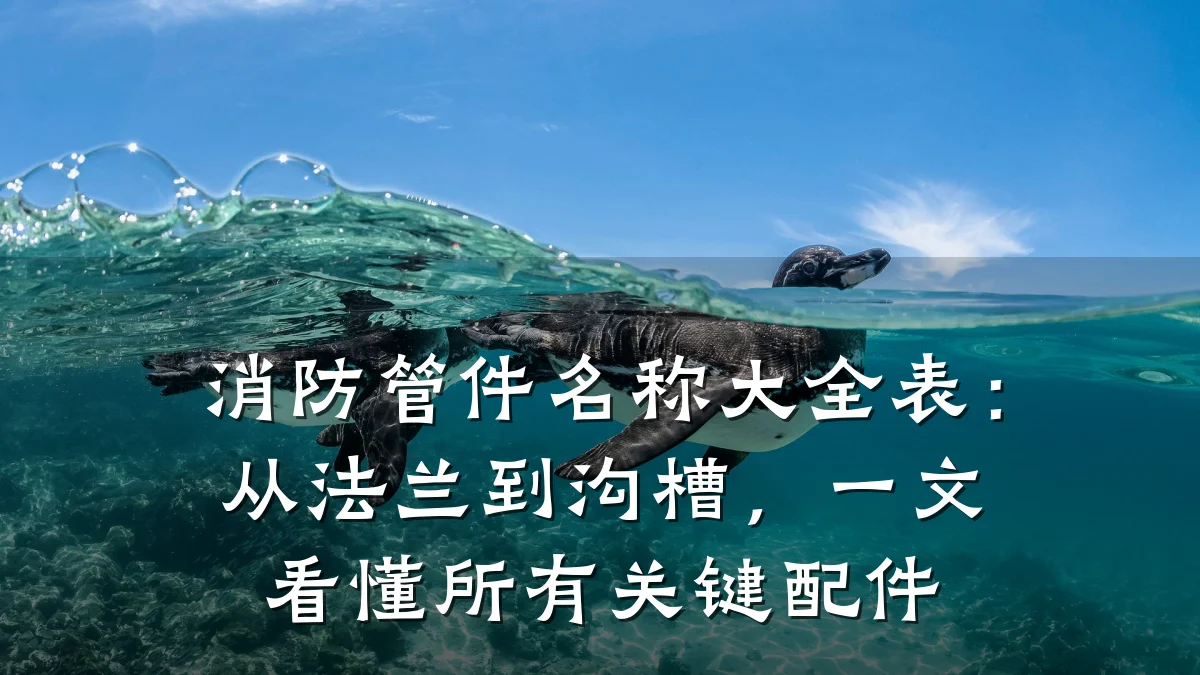 消防管件名称大全表:从法兰到沟槽,一文看懂所有关键配件